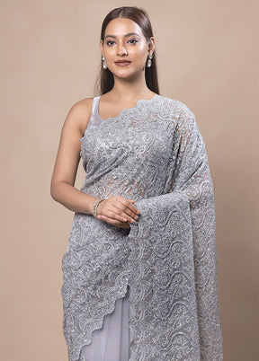 Grey Handloom Tissue Pure Silk Saree With Blouse Piece