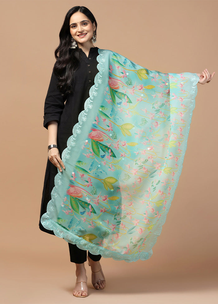 Blue Organza Embroidered Work Dupatta