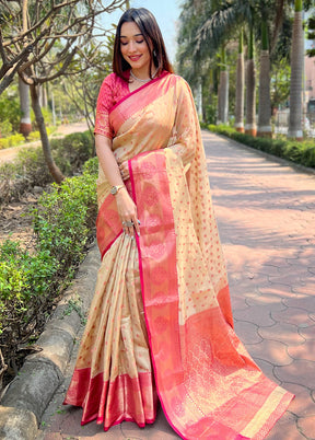 Chiku Spun Silk Saree With Blouse Piece