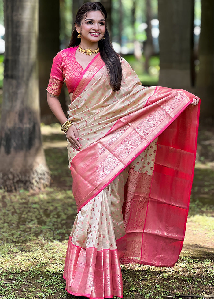 Chiku Dupion Silk Saree With Blouse Piece