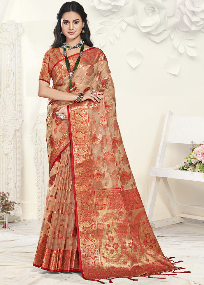 Multicolor Organza Saree With Blouse Piece