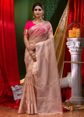 Beige Organza Saree With Blouse Piece - Indian Silk House Agencies