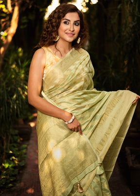 Light Green Organza Saree With Blouse Piece - Indian Silk House Agencies